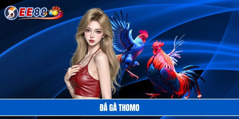 Đá gà Thomo