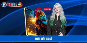 Trực tiếp đá gà